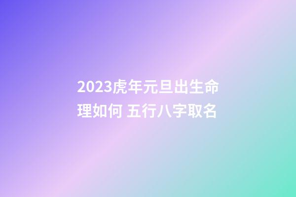 2023虎年元旦出生命理如何 五行八字取名